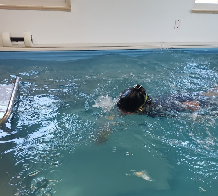 aqua-star-swim-lessons-photo